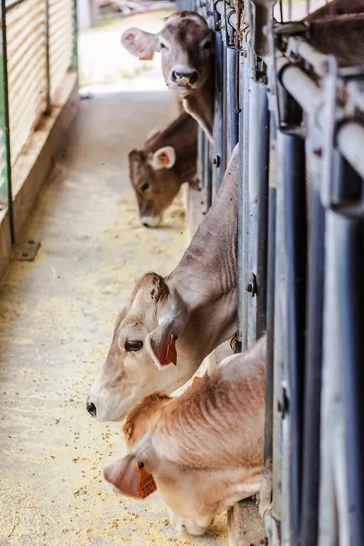 Farm stay Il Bagnolo Eco Lodge Salo