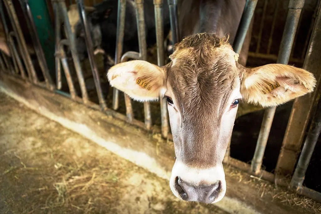 Farm stay Il Bagnolo Eco Lodge Salo Italy