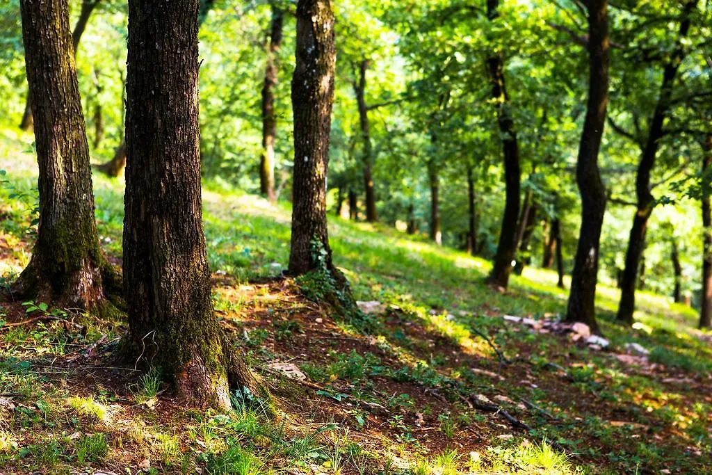 Il Bagnolo Eco Lodge Salo 0*,